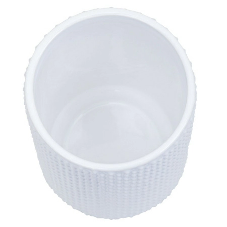 3 Стакан для зубных щеток Spirella Mero, белый фото 4