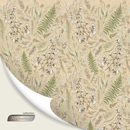 8 Кофр для хранения Hausmann Herbarium 100x50x15см фото 8